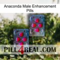 Anaconda Male Enhancement Pills 14